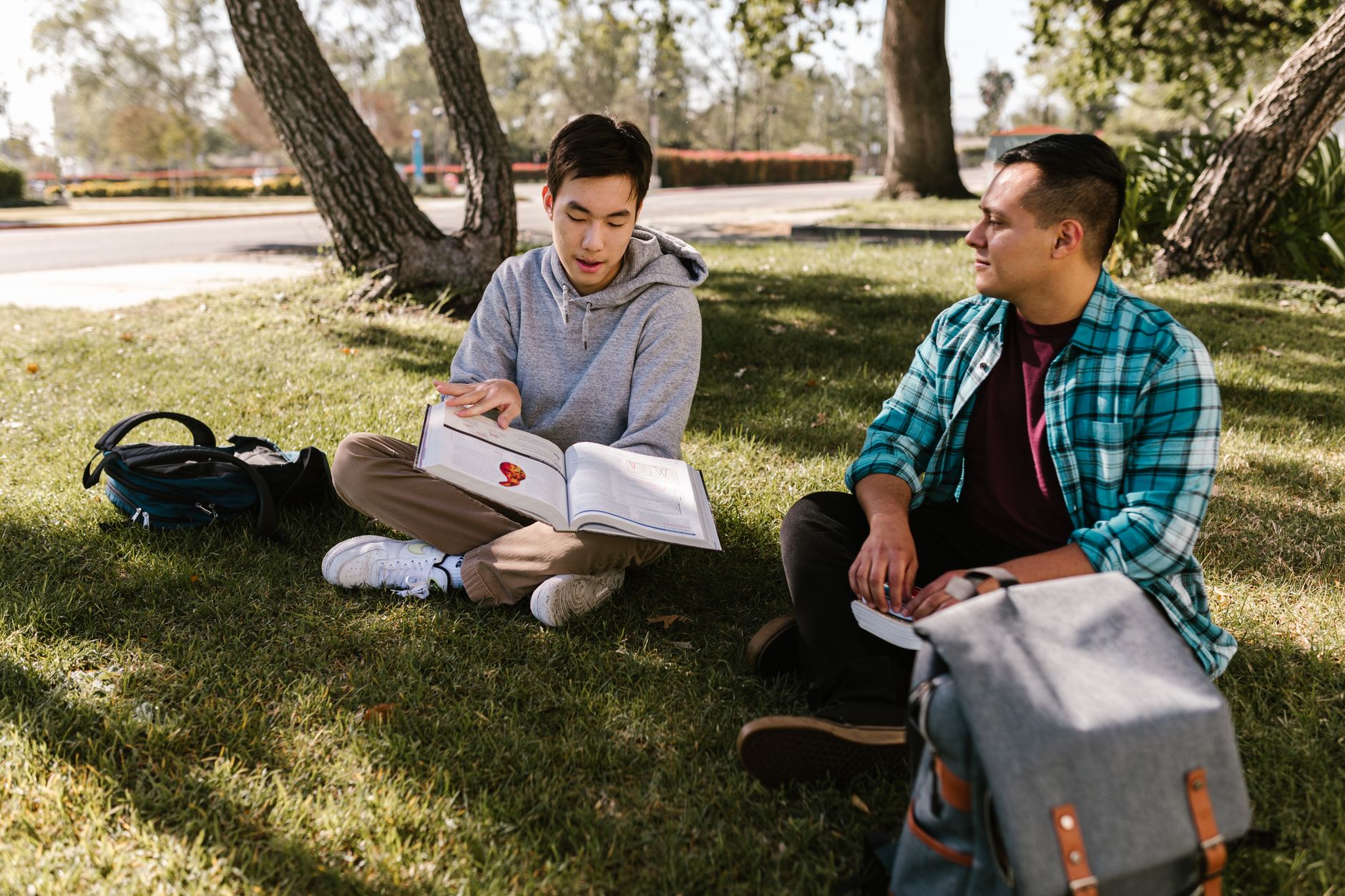 Two college students study outdoors on campus, fostering friendship and learning together.